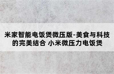 米家智能电饭煲微压版-美食与科技的完美结合 小米微压力电饭煲